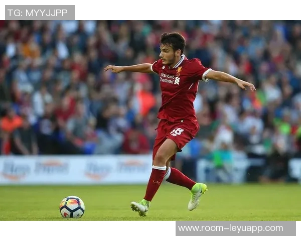 维拉不打算买断埃利奥特球员两个月未参赛面临困境